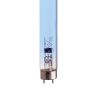Lampe TL UV 11W 22.5 cm